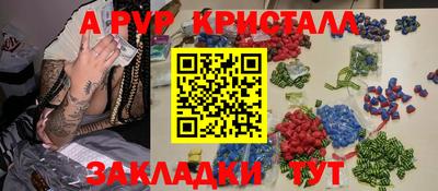 гидра Каменск-Шахтинский