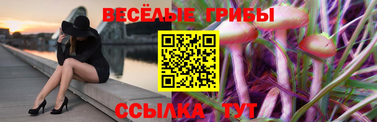 Псилоцибиновые грибы MAGIC MUSHROOMS Электросталь